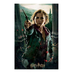 Puzzle 3D Harry Potter Hermione Granger Battle Prime3D (300 pcs)